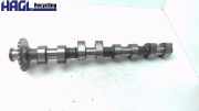 Nockenwelle Einlass Links 077109021CJ Audi V8 D11 Audi V8 Limousine