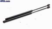 Gasdruckfeder/-dämpfer Hinten 12-1783 560N Ford Focus Coupe-cabriolet 2.0 16V DA3/DB3 Focus Cabrio