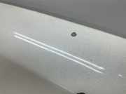 Motorhaube 95460922 Chevrolet Captiva 2.2 TD FWD Klac Captiva Geschlossen