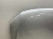 Motorhaube 2H6823033C VW Amarok 2.0 Bitdi 4MOTION Amarok Doppelk.pritsche