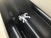 Heckdeckel 860684 Peugeot 407 HDi 135 Edition 6RFN/66FY/66FZ/6RFJ/63FZ/63FY/6XFV/69HZ/ 407 Limousine