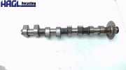 Nockenwelle Einlass Links 077109021CJ Audi V8 D11 Audi V8 Limousine