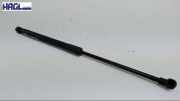 Gasdruckfeder Vorne 1T0823359C VW Touran 1.9 TDI DPF Blue Motion 1 T Touran Kombi