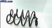 Hinterfeder Links + Rechts Toyota Yaris 1.33 Vvt-i XP13 Yaris Limousine