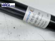 Stossdämpfer R 315912 VW Golf 1.6 TDI Bluemotion Trendline Au/auv Golf Limousine