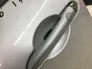 TÜR Vorn Links Renault Grand Scenic 2.0 dCi XXL FAP JM Scenic Kombi