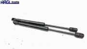Gasdruckfeder Motorhaube SET 218697 BMW 525d Sport-aut. pure F10 / F11 5er Limousine