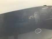 Motorhaube Renault Grand Scenic 1.9 dCi FAP Aut. JM Scenic Kombi