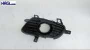 Abdeckung Nebelscheinwerfer Links A1698850522 Mercedes-benz A 170 169 A-klasse Limousine