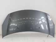 Citroen DS3 Sport Chic Motorhaube Haube Klappe Deckel vorn KTH Thorium Grau