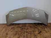 Renault Modus JP0 Bj.06 Haube Motorhaube DAKOTA BEIGE D11 leichter Hagel