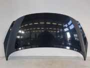 Peugeot 207CC Motorhaube Haube Klappe Motorklappe EXL Schwarz Obsidien Metallic