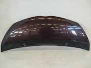 Toyota IQ Typ AJ Motorhaube Haube Klappe Deckel vorn 9AH Deep Amethyst 