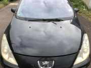 Peugeot 307 SW 3E 3H Motorhaube Haube Klappe Deckel EXL Noir Obsidien Nacre
