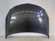 Opel Insignia A 0G-A Motorhaube Haube Klappe Deckel vorn Z177 Karbongraumetallic