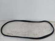 Mercedes Citan W420 Dichtung Schiebetür Schiebetürdichtung hinten rechts