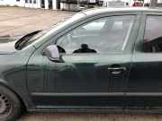 Skoda Octavia II 1Z Tür vorn links Fahrertür Rohbau LF8C Naturgrün Metallic