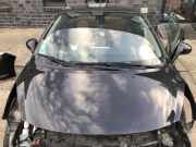 Peugeot 207CC Motorhaube Haube Klappe Motorklappe EXL Schwarz Obsidien Metallic