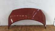 Renault Scenic II JM Motorhaube Klappe Deckel vorn TEB76-Rouge de Feu