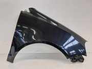 VW Polo 9N3 Kotflügel rechts Fender Seitenwand vorn LC9Z Black Magic Pearl