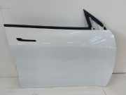 Tesla Model Y Tür vorn rechts Beifahrertür Rohbau PPSW white Water perl OEM