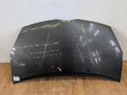 Toyota Corolla Verso ZZE ZER Motorhaube Haube Klappe Bonnet vorn 1C3 Grey Pearl 