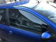 Peugeot 206+ Türscheibe vorne rechts Scheibe Seitenscheibe Colorglas 3trg