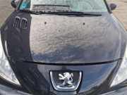 Peugeot 206+ 2M Motorhaube Haube Klappe Deckel Bonnet vorn KTV Perla Nera