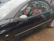 Peugeot 206 CC Fahrertür Tür Autotür vorn links Rohbautür EXY Onyxschwarz