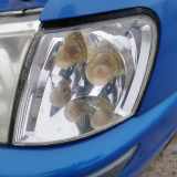 Mitsubishi Space Star DG0 Blinkleuchte Blinker vorn links Klarglas 2000-2002