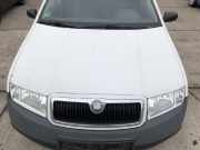 Skoda Fabia 6Y Praktik Motorhaube Haube Klappe Deckel vorn Grill LF9E Candyweiß
