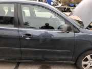 VW Polo 9N3 Tür vorn rechts Beifahrertür im Rohbau 5 türer LC7V grau auch 9N1
