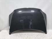 VW Fox original Motorhaube LI7F Uranograu Bj.2010 