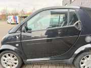 Smart ForTwo Cabrio 450 original Tür links EA4 Jack Black Rohbau BJ03