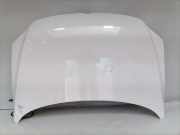 VW Fox original Motorhaube LB9A Candyweiss Bj.2010 