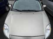 Fiat Bravo 198 original Motorhaube 272 Vanitoso Metallic BJ07