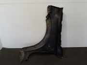 Land Rover Freelander BJ 2003 Kotflügel vorn rechts Grau