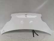 Smart Fortwo 451 Coupe original Motorhaube weiß BJ07
