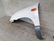 Hyundai Santa FE SM BJ02 Kotflügel vorn links Solid Weiss