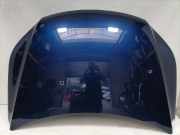 VW Tiguan 1 5N original Motorhaube LD5Q Shadowblue Bj.2009 