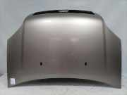 Ford Fusion original Motorhaube Sahara Metallic Bj.2004 