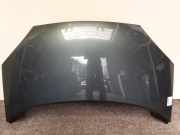Ford Galaxy original Motorhaube Neptungrün Facelift Bj.2003 