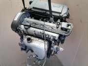 VW Golf 4 original Motor AXP 1,4 55KW funktionsgeprüft Bj.2001 