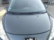 Peugeot 207SW original Motorhaube KTP Grau Shark Bj.2008