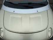 Smart Forfour 454 original Motorhaube EAR Melon Green BJ05