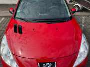 Peugeot 206+ original Motorhaube KKN Rot Aden BJ11