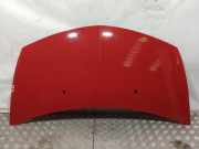 Motorhaube Renault Clio III (BR0/1, CR0/1)