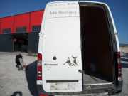 Heckklappe mit Fensterausschnitt Mercedes-Benz Sprinter 3,5t Kasten (906)