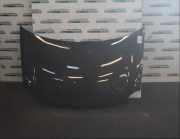 Motorhaube VW Polo IV (9N, 9A) 6QE 823 031 B