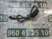 Sensor Ford Kuga () 1688499